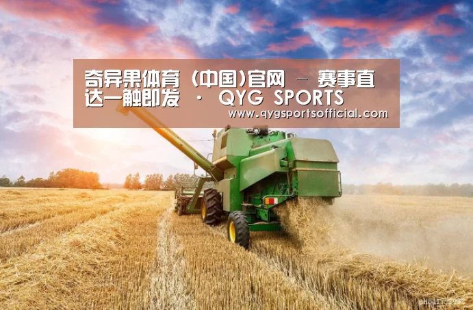 产品名称二(图1)