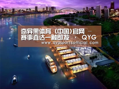 案例展示八