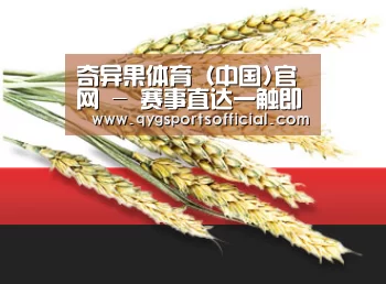 奇异果体育（中国)官网 - 赛事直达一触即发 · QYG SPORTS