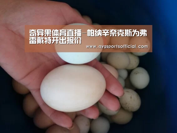 奇异果体育直播-帕纳辛奈克斯为弗雷戴特开出报价(图2) 奇异果体育直播