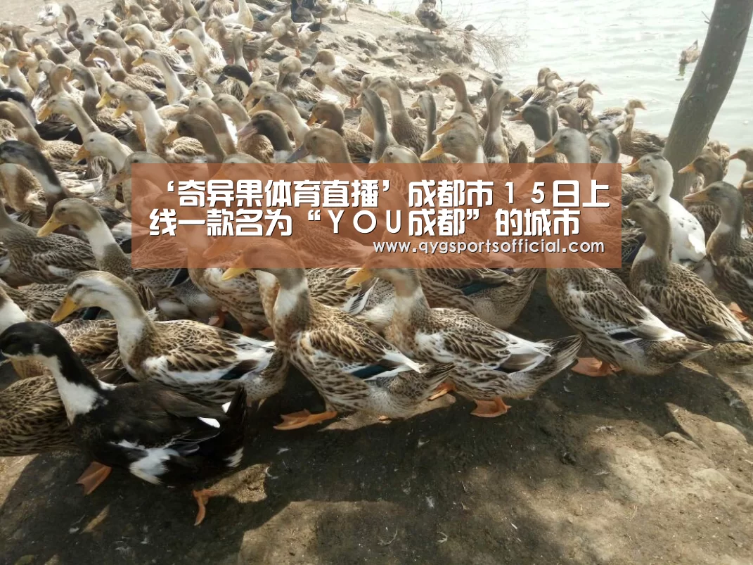 ‘奇异果体育直播’成都市15日上线一款名为“YOU成都”的城市生活美学地图(图2) 奇异果体育官网入口